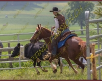 2NODS 0743